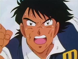 La Venganza Del Tigre