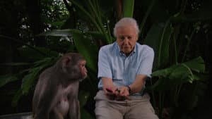 David Attenborough's Rise of Animals: Triumph of the Vertebrates — foto 2