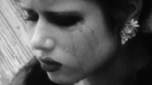 Teenage Tupelo — foto 2