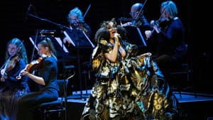 Björk Orkestral — foto 1