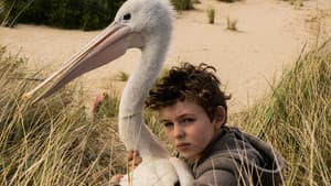 Storm Boy — foto 1