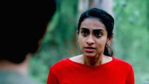 ஒரு கோடை Murder Mystery — foto 2