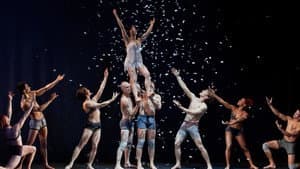 Shadowland — foto 3