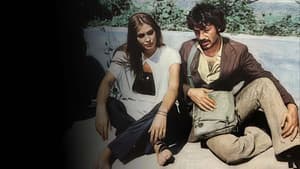 İnsan Sevince — foto 4
