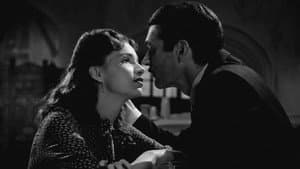 Curtiz — foto 6