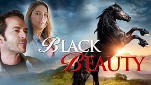 Black Beauty — foto 3