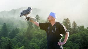 The Wild Life of Dr. Ole — foto 2