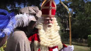 Sinterklaas Verdwaalt In Het Grote Bos — foto 1