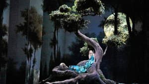 The Metropolitan Opera: Rusalka — foto 3