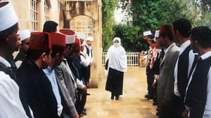 سيدة القصر — foto 1
