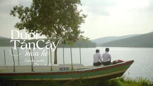 Dưới Tán Cây Mùa Hè — foto 1