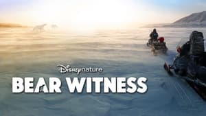 Bear Witness — foto 6
