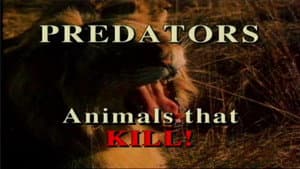 Predators of the Animal World — foto 1