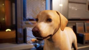 Avenger Dogs — foto 4