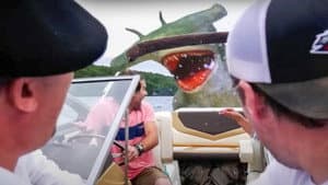 Cocaine Shark — foto 3