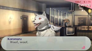 Episodio 12