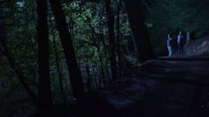 Below the Trees — foto 1