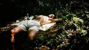 Blissfully Yours — foto 1