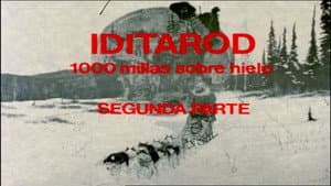 Episodio 14