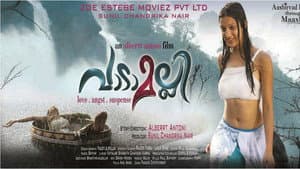 വാടാമല്ലി — foto 1