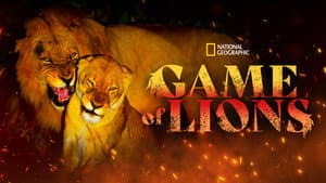 Game of Lions — foto 4