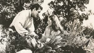 Beauty and the Bandit — foto 1
