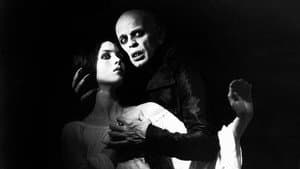 Nosferatu, el vampiro — foto 10