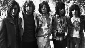 The Stones in the Park — foto 3