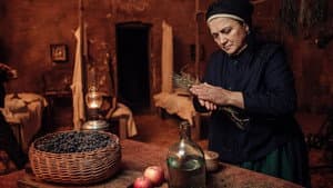Чорний ворон — foto 1