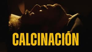 Calcinación — foto 1