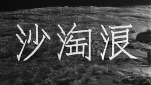 浪淘沙 — foto 1