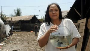 Isda — foto 1