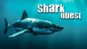 Shark Quest — foto 1