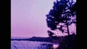 Matter of Clarity — foto 6