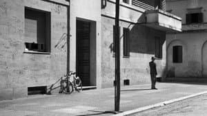 Ladrón de bicicletas — foto 9