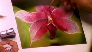 Zazel: The Scent of Love — foto 1