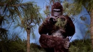 Ape — foto 2