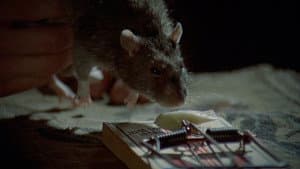 The Killing Kind — foto 9