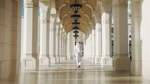 MBZ, la face cachée des Emirats arabes — foto 1