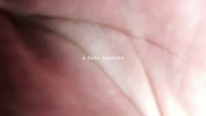Legítima Defesa — foto 2