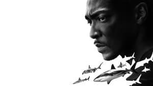 Shark Beach with Anthony Mackie — foto 3