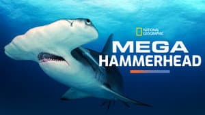 Mega Hammerhead — foto 7