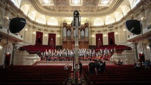 Bloed, zweet en snaren. De mensen van het Koninklijk Concertgebouworkest — foto 1