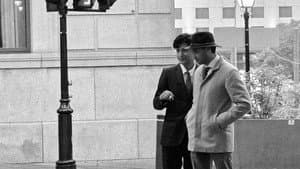 Affaire Montenegro — foto 5