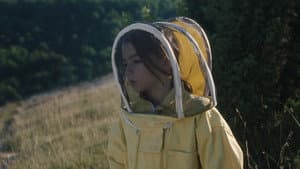 20.000 especies de abejas — foto 1