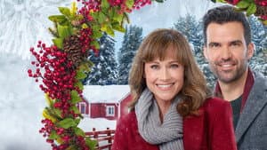 Cranberry Christmas — foto 3