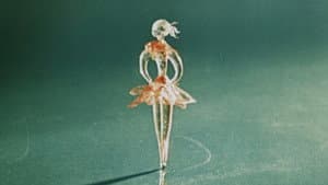 Inspirace — foto 4