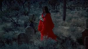 The Velvet Vampire — foto 2