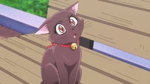 Episodio 10