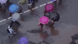 Monsoon — foto 1